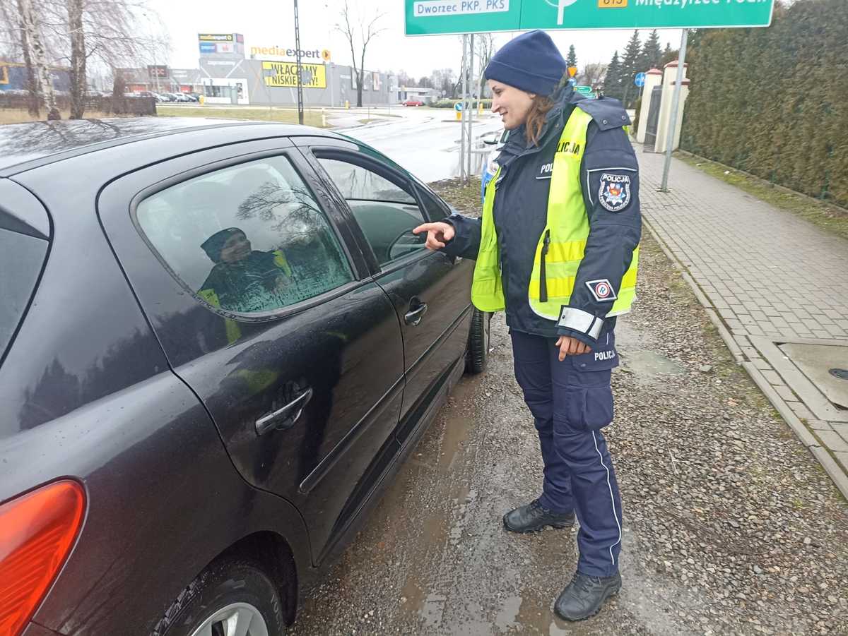 Bezpieczny Maluch W Powiecie Parczewskim Aktualności Kpp Parczew 3458