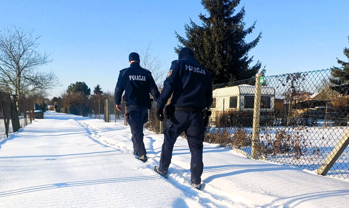 policjanci sprawdzjący ogródki działkowe