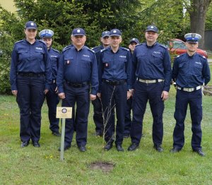 Kierownictwo KPP w Parczewie z posądzaną sadzonką dębu z okazji 100 rocznicą powstania  Policji Państwowej