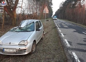 uszkodzony fiat po zderzeniu z losiem