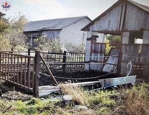 widok na wybieg i stodołe