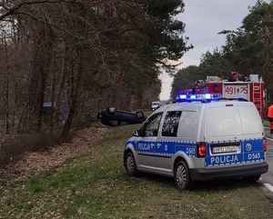 pojazd marki Toyota koloru granatowego leżący na dachu w kompleksie leśnym