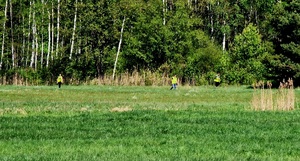 policjanci idący łąką