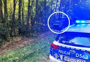 pojazd w kompleksie leśnym oraz oznakowany radiowóz