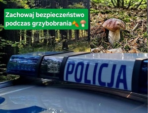 napis policja tuż obok niego leśny grzyb i napis &quot;bezpieczeństwo podczas grzybobrania&quot;