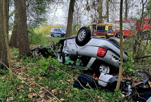 srebrny pojazd leżacy na dachu w lesie
