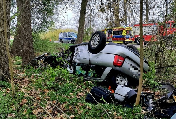 srebrny pojazd leżacy na dachu w lesie