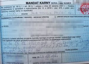 mandat karny